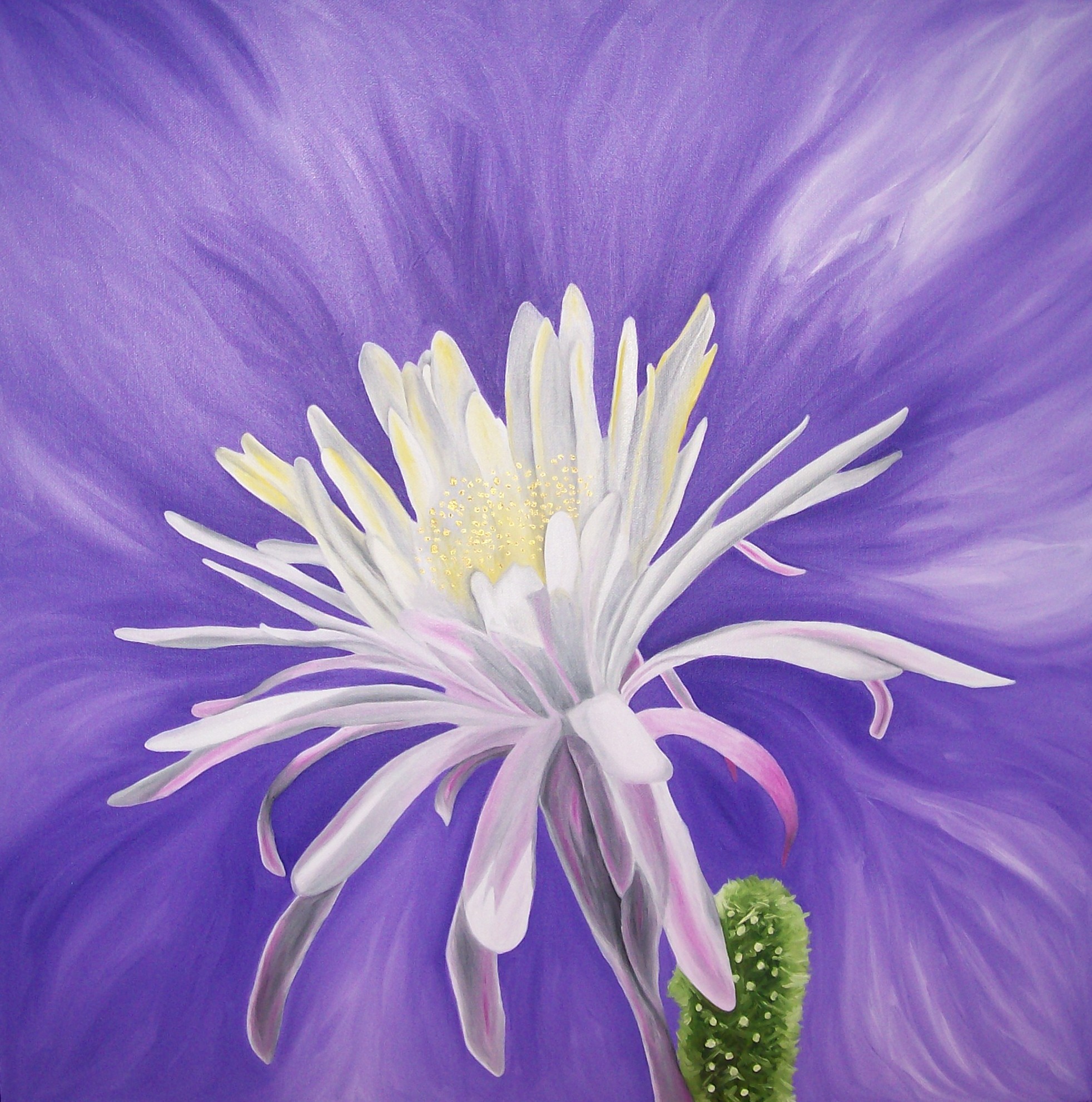 Desert Flower Night Bloom